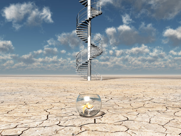 沙漠中的金鱼，有圆形楼梯井图片下载