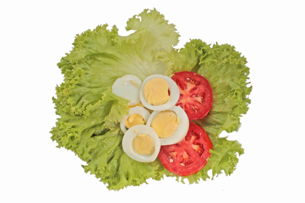 美味的西红柿鸡蛋沙拉在白色的背景上图片下载