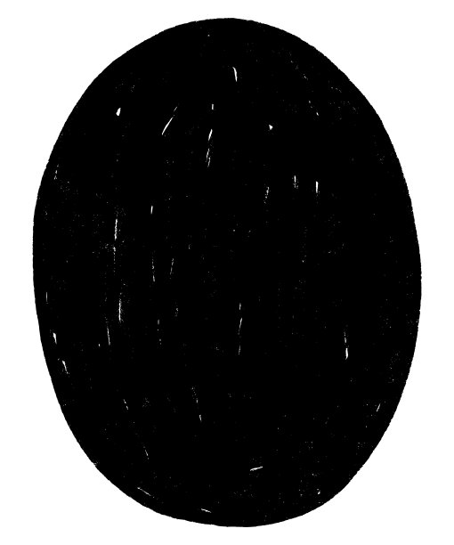 矢量手绘背景图片下载