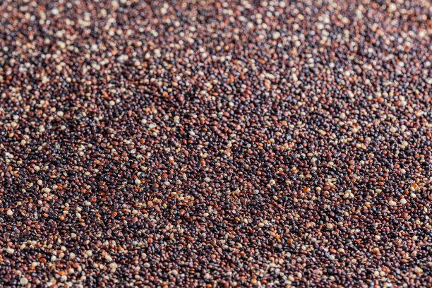 红色原始藜麦图片下载