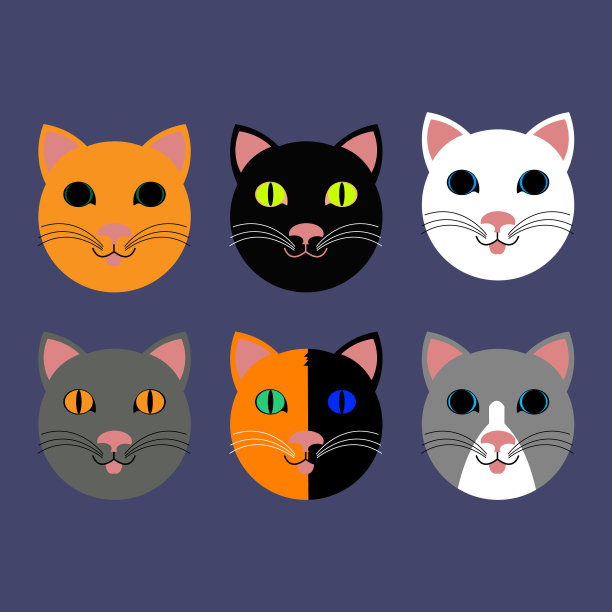 不同颜色的猫脸图片下载