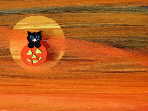 万圣节。南瓜灯里的黑猫。秋天的背景，收获的月亮。织物工艺。图片下载