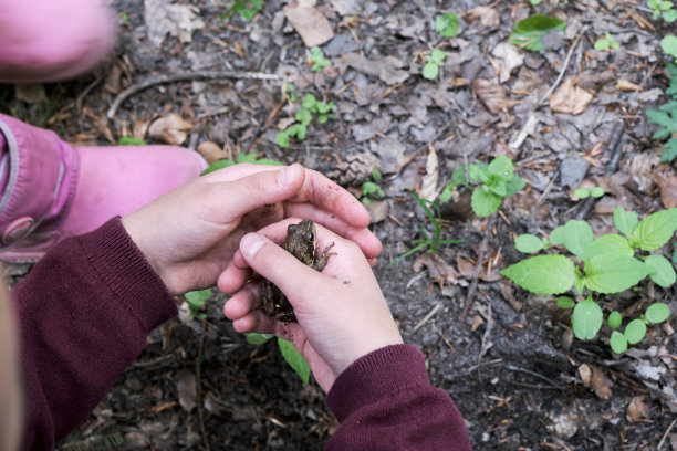 年轻人手里捧着一只青蛙图片下载