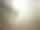 森林中的云图片下载