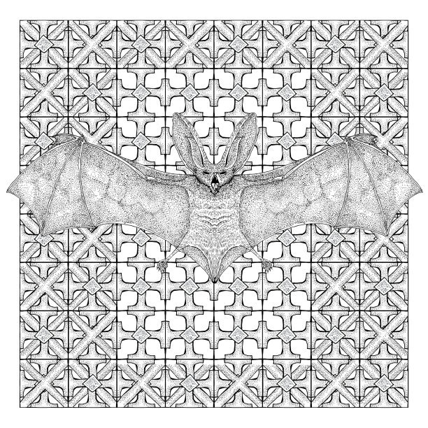 动物的节拍图片下载