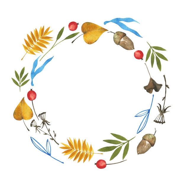 圆形模板与秋天的叶子，香草，浆果和橡子。植物收集。真正的水彩画图片下载