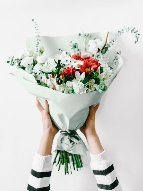 白底插花特写照片图片下载