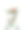白底插花特写照片图片下载