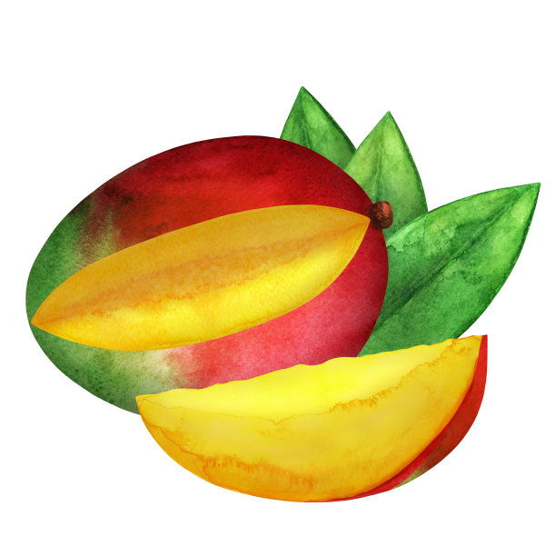 水彩芒果水果图片下载