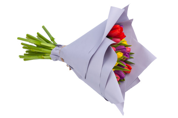 一束用淡紫色纸包着的彩色郁金香，白色背景，孤立图片下载