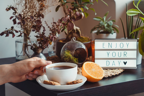 男人与一杯热茶或咖啡，享受你的一天的信息灯箱在桌子上绿色的家庭植物和装饰。慢生活的概念。舒适的放松和休息的地方。家庭园艺的角落。图片下载