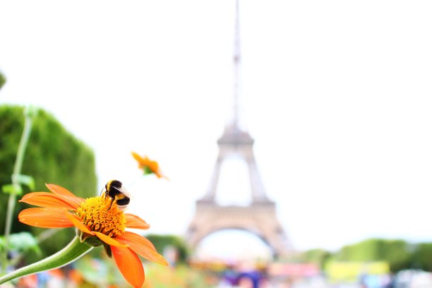 埃菲尔铁塔图片下载