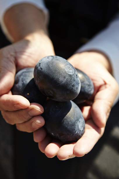 黑蛋照片摄影图片