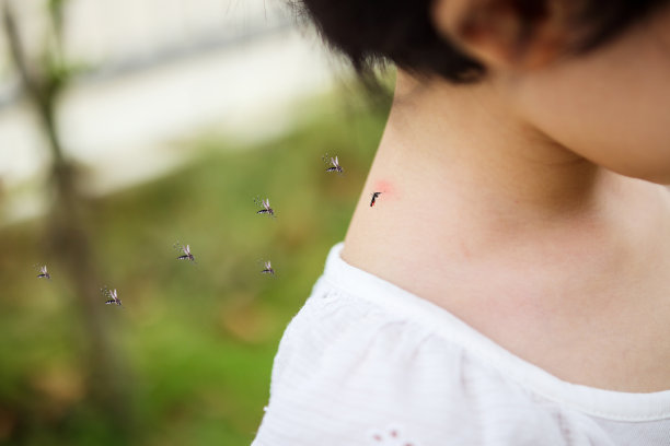 可爱的亚洲小女孩在户外草地上玩耍时，被蚊子叮咬，颈部吸血，出现皮疹和过敏图片下载