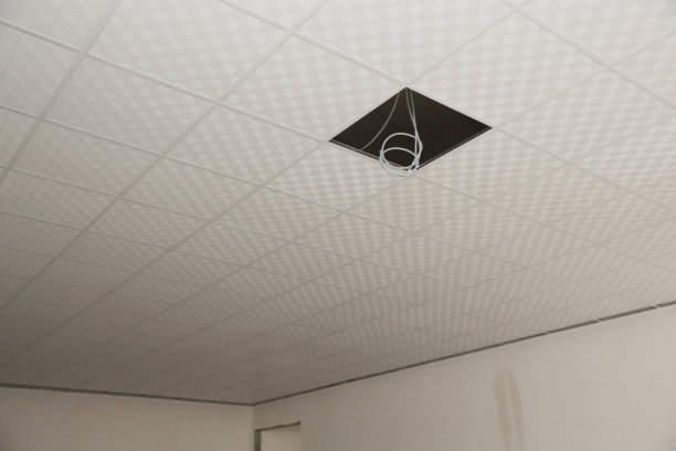 悬挂式天花板图片下载