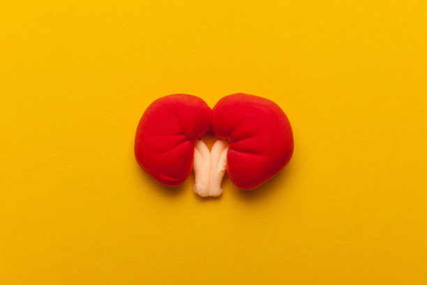 黄色背景上是人类的肾脏。泌尿生殖系统疼痛，治疗肾结石。慢性和遗传问题图片下载