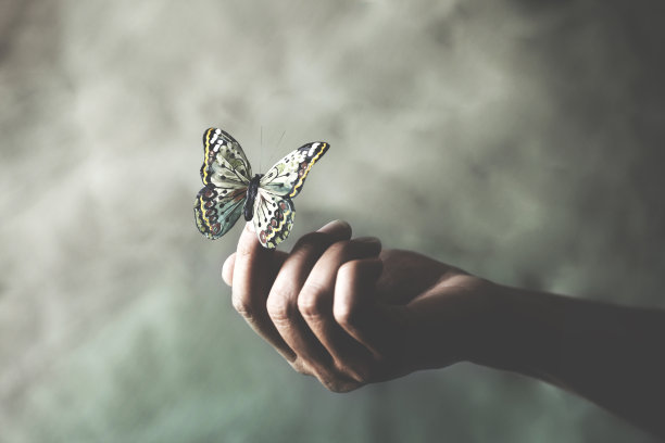 一只彩蝶倚在一个女人的手上图片下载