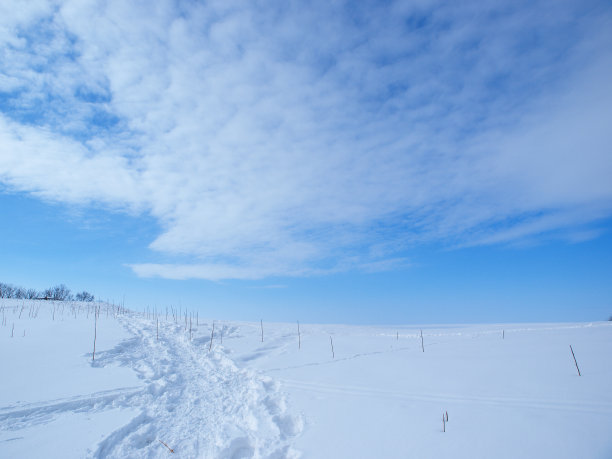 冬天的北海道风景图片下载
