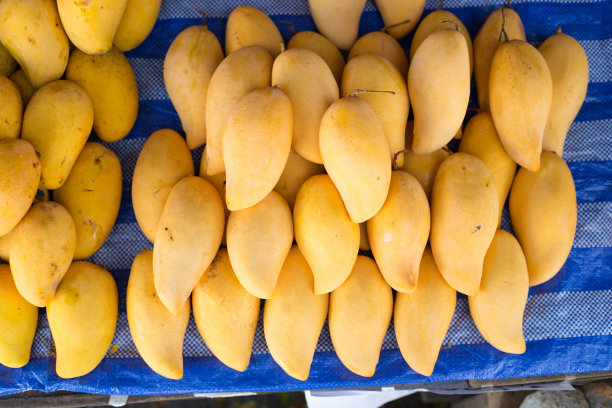 许多成熟的泰国芒果水果在街头市场摊位在曼谷图片下载