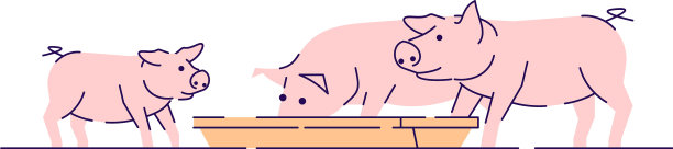 粉红色的猪喂养平家畜养殖动物图片下载