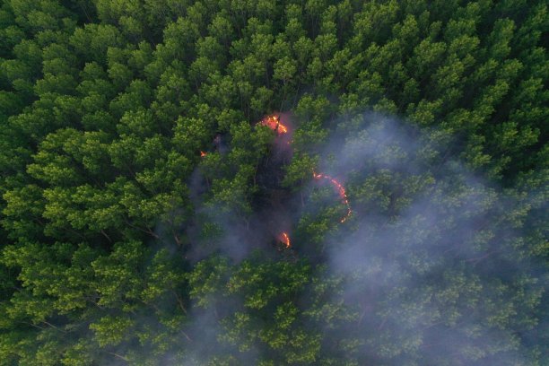 森林大火。干燥的矮树丛与燃烧的灰色烟雾在空气中，自然灾害。鸟瞰图。消防队员扑灭了大火。注意-晚间拍摄显示噪音的图片!图片下载