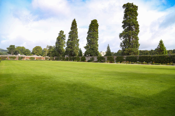 春天，绿色的草坪图片下载
