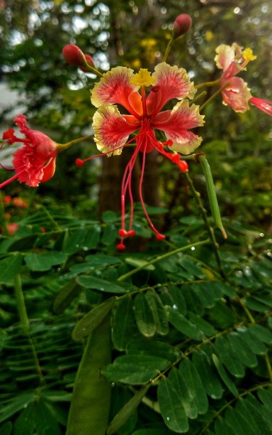 我的视力图片下载