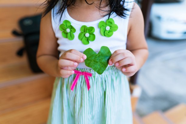 小朋友手中的心形常青藤叶特写图片下载