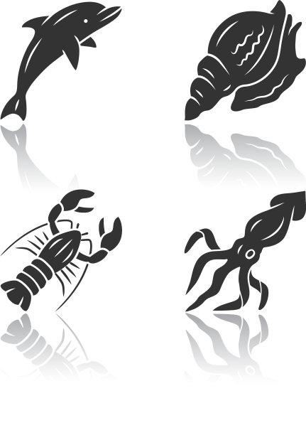 海洋动物投阴影黑色象形文字图标集图片下载