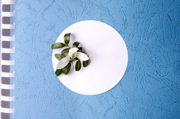 新书封面植物小册子和草药花园图片下载