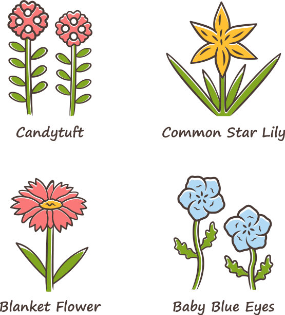 野花颜色图标设置糖果簇常见图片下载