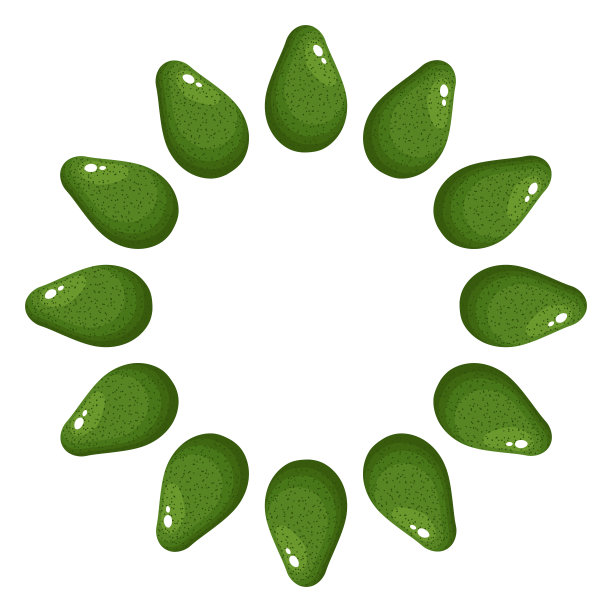 绿色完整鳄梨花环与文字空间。卡通有机甜食。夏日水果，健康生活方式。矢量插图为任何设计。图片下载