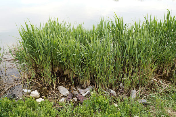 环境污染不可生物降解是人们生活的废弃物图片下载