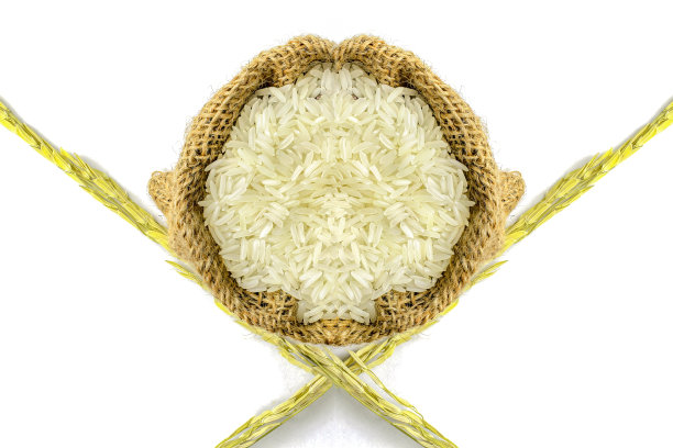 袋装大量茉莉花米与水稻穗，孤立在白色背景上图片下载