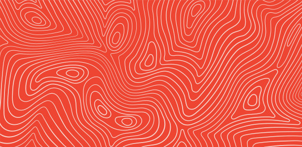 三文鱼片质地，鱼纹。矢量背景与条纹鲑鱼图片下载