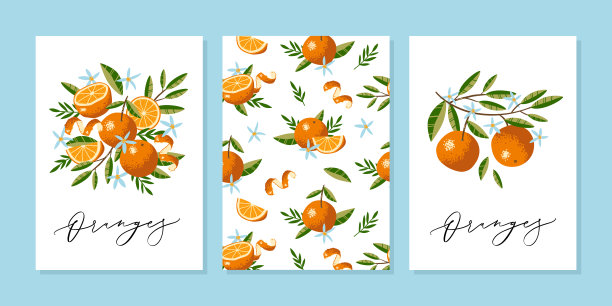 矢量贺卡或婚礼邀请模板与橙子，花和叶在手绘风格与矢量书法文本。图片下载