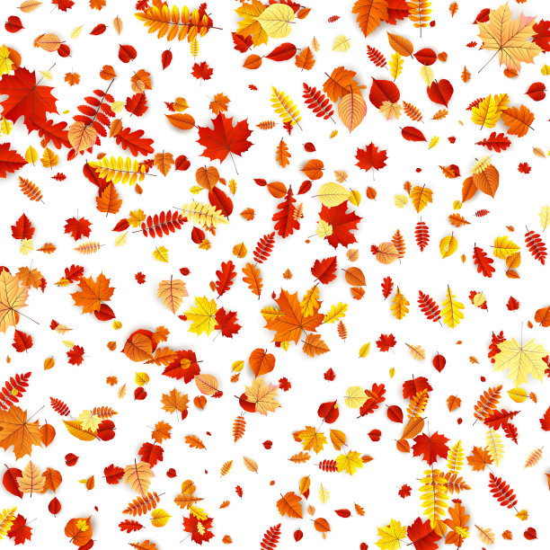 秋天概念背景。每股收益10图片下载