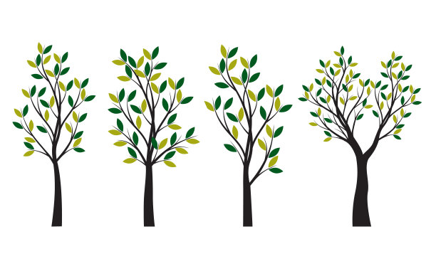 一组树和树叶。矢量插图。图标的集合。图片下载