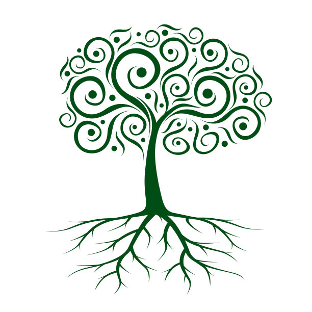 春天绿色的树。矢量插图轮廓。植物在花园。图片下载