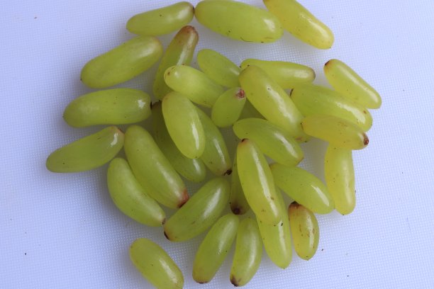 新鲜成熟的绿色葡萄孤立在白色的背景图片下载