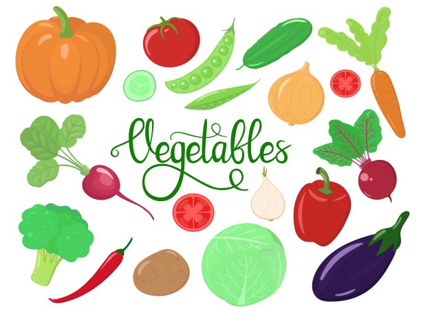 蔬菜矢量图标设置。彩色插图卡通风格。健康食品。素食者和纯素食者的膳食图片下载