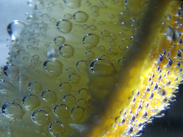 黄色的柠檬在一杯水里图片下载