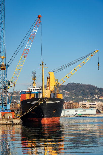 意大利利古里亚拉斯佩齐亚港口的集装箱船和起重机图片下载