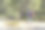 一个梳着马尾的背包女在森林里行走的侧面照片图片下载