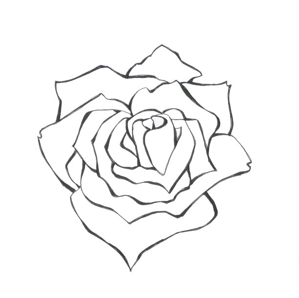 图案玫瑰孤立物体白色背景图片下载