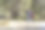 一个梳着马尾的背包女在森林里行走的侧面照片图片下载