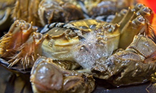 大闸蟹图片下载