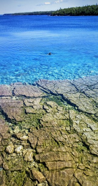 清水游泳图片下载