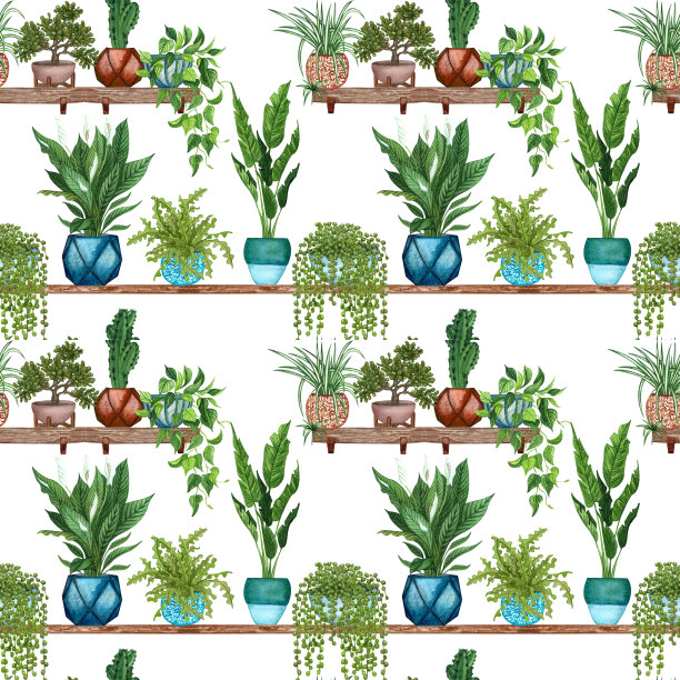 不同室内植物的无缝图案。手绘室内绿色植物花盆。装饰绿色植物背景完美的织物织物，剪贴簿或包装纸设计。图片下载