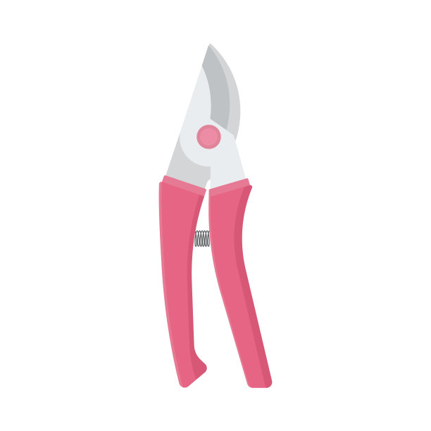 粉红色手柄的剪枝夹。园艺剪刀，花匠的工作工具。矢量股票平面插图孤立在白色背景。图片下载